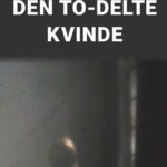 DEN TO-DELTE KVINDE (digtsamling)